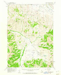 preview thumbnail of historical topo map of Custer County, ID in 1960