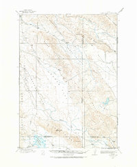 1917 Map of Cranes Flat, 1973 Print