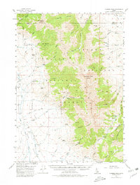 Download a high-resolution, GPS-compatible USGS topo map for Diamond Peak, ID (1980 edition)