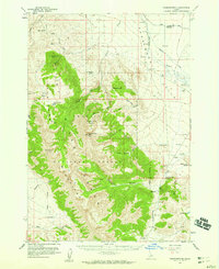 preview thumbnail of historical topo map of Custer County, ID in 1956