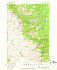 Download a high-resolution, GPS-compatible USGS topo map for Goldstone Mtn, ID (1969 edition)