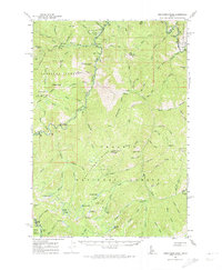 preview thumbnail of historical topo map of Custer County, ID in 1961