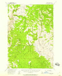 Download a high-resolution, GPS-compatible USGS topo map for Hornet, ID (1958 edition)