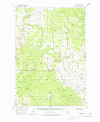 Download a high-resolution, GPS-compatible USGS topo map for Hornet, ID (1978 edition)