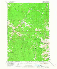1950 Map of Leesburg, 1967 Print