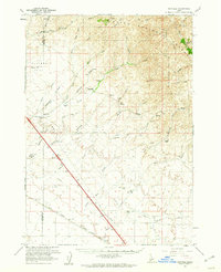 preview thumbnail of historical topo map of Elmore County, ID in 1960