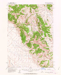 Download a high-resolution, GPS-compatible USGS topo map for Morrison Lake, ID (1963 edition)