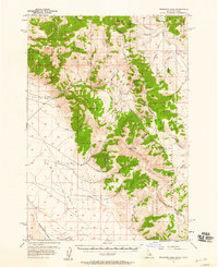 Download a high-resolution, GPS-compatible USGS topo map for Morrison Lake, ID (1958 edition)