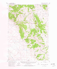 Download a high-resolution, GPS-compatible USGS topo map for Morrison Lake, ID (1982 edition)