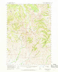 Download a high-resolution, GPS-compatible USGS topo map for Muldoon Canyon, ID (1969 edition)