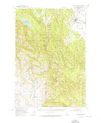 Download a high-resolution, GPS-compatible USGS topo map for New Meadows, ID (1976 edition)