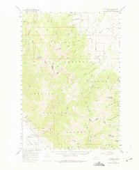 Download a high-resolution, GPS-compatible USGS topo map for Patterson, ID (1975 edition)