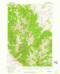 Download a high-resolution, GPS-compatible USGS topo map for Patterson, ID (1959 edition)
