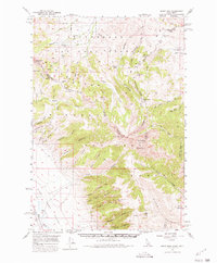 Download a high-resolution, GPS-compatible USGS topo map for Scott Peak, ID (1980 edition)