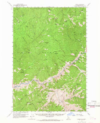 Download a high-resolution, GPS-compatible USGS topo map for Shoup, ID (1967 edition)
