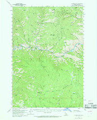 preview thumbnail of historical topo map of Lemhi County, ID in 1960