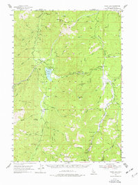Download a high-resolution, GPS-compatible USGS topo map for Warm Lake, ID (1977 edition)