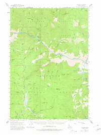 Download a high-resolution, GPS-compatible USGS topo map for Warren, ID (1980 edition)