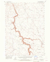 preview thumbnail of historical topo map of Owyhee County, ID in 1956