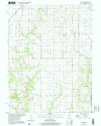 Download a high-resolution, GPS-compatible USGS topo map for Bald Knob, IL (2002 edition)