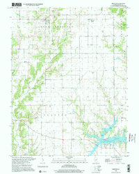Download a high-resolution, GPS-compatible USGS topo map for Bingham, IL (2002 edition)