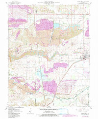 Download a high-resolution, GPS-compatible USGS topo map for Carrier Mills, IL (1990 edition)
