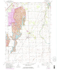 Download a high-resolution, GPS-compatible USGS topo map for Essex, IL (1981 edition)