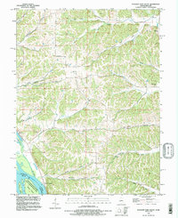 Download a high-resolution, GPS-compatible USGS topo map for Pleasant Dale Valley, IL (1996 edition)