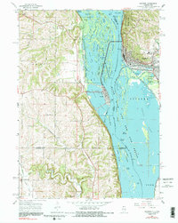 Download a high-resolution, GPS-compatible USGS topo map for Savanna, IL (1991 edition)