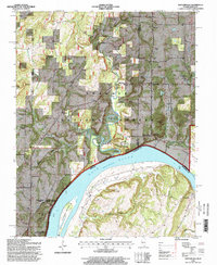 Download a high-resolution, GPS-compatible USGS topo map for Shetlerville, IL (1998 edition)
