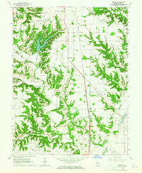Download a high-resolution, GPS-compatible USGS topo map for Snyder, IL (1965 edition)