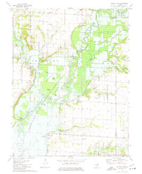 Download a high-resolution, GPS-compatible USGS topo map for Wildcat Lake, IL (1977 edition)