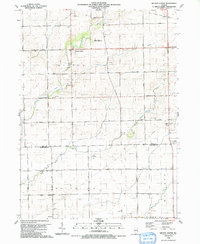 Download a high-resolution, GPS-compatible USGS topo map for Wilton Center, IL (1991 edition)
