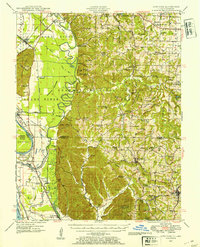 1947 Map of Cobden, IL, 1954 Print