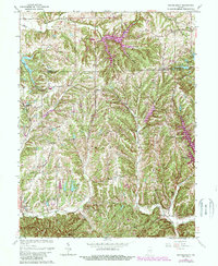 Download a high-resolution, GPS-compatible USGS topo map for Beanblossom, IN (1989 edition)