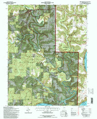 Download a high-resolution, GPS-compatible USGS topo map for Beechwood, IN (1998 edition)