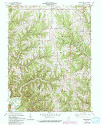 Download a high-resolution, GPS-compatible USGS topo map for Bennington, IN (1993 edition)