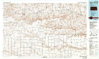Download a high-resolution, GPS-compatible USGS topo map for Sharon Springs, KS (1989 edition)