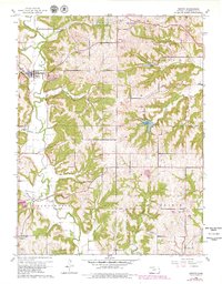 Download a high-resolution, GPS-compatible USGS topo map for Easton, KS (1979 edition)