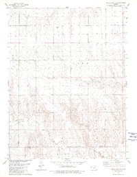 Download a high-resolution, GPS-compatible USGS topo map for Harris Draw NE, KS (1980 edition)