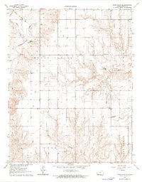Download a high-resolution, GPS-compatible USGS topo map for Irish Flats NE, KS (1964 edition)