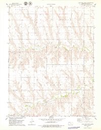 Download a high-resolution, GPS-compatible USGS topo map for Long Draw North, KS (1979 edition)