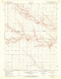 Download a high-resolution, GPS-compatible USGS topo map for Sharon Springs 4 NW, KS (1969 edition)