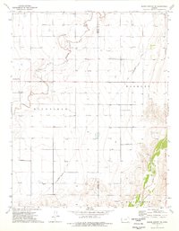Download a high-resolution, GPS-compatible USGS topo map for Shore Airport SE, KS (1976 edition)