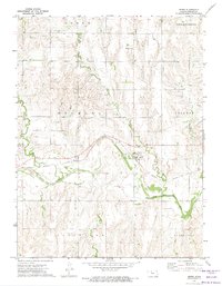 Download a high-resolution, GPS-compatible USGS topo map for Speed, KS (1974 edition)