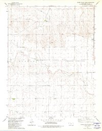 Download a high-resolution, GPS-compatible USGS topo map for Spring Valley Ranch, KS (1980 edition)