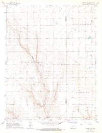 Download a high-resolution, GPS-compatible USGS topo map for Tribune 4 SE, KS (1967 edition)