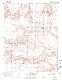 Download a high-resolution, GPS-compatible USGS topo map for Twin Butte, KS (1993 edition)