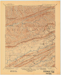 1891 Map of Jonesville, 1945 Print