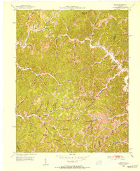 Download a high-resolution, GPS-compatible USGS topo map for Dingus, KY (1953 edition)